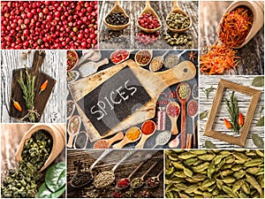 Set of Indian spices, collage of condiments