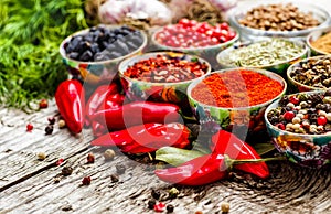 Set of Indian spices on wooden table - Top view