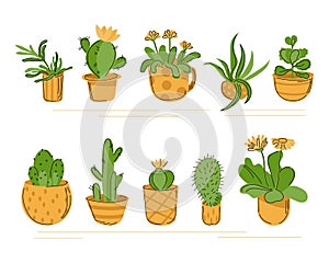 A set of indoor flowers in pots. Stylized shelf with cacti and succulents and other plants isolate. Vector illustration