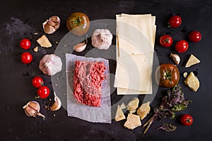 Set of ingredients for italian lasagne