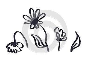 Set of ink brush abstract flower sketches isolated on white