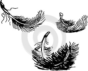 Set of ink sketces of black swan feathers vector isolated