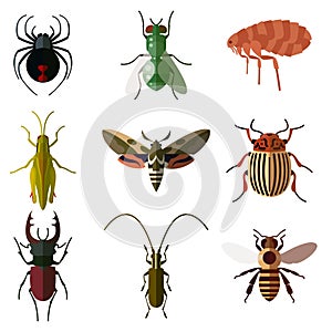 Un conjunto compuesto por insectos un piso iconos2 