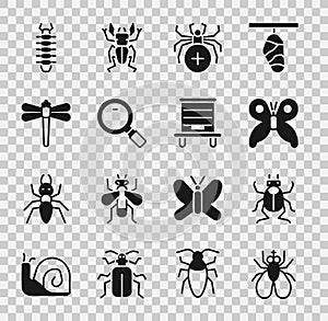 Set Insect fly, Beetle bug, Butterfly, Spider, Magnifying glass, Dragonfly, Centipede and Hive for bees icon. Vector