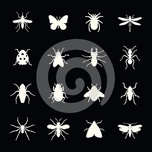 Set of insect icon