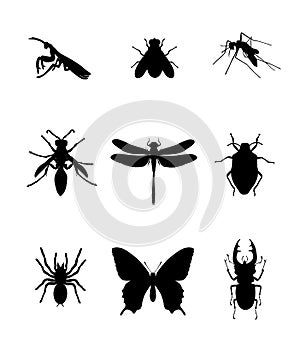 Set of insect vector silhouette illustration isolated on white. Praying mantis. Housefly. Mosquito. Wasp axis or honey bee symbol.