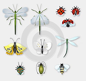 Set with insects: butterflies, dragonflies, ladybugs, beetles, bee, water strider.