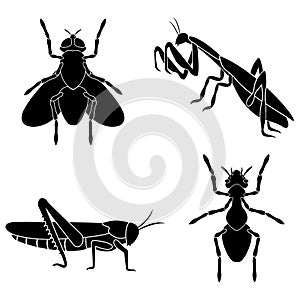 A set of insects consists of an ant, a fly, a mantis and a locus