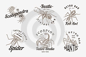 Set of insects logos. Vintage Pets labels for bar or tattoo studio. Bugs Beetles Scorpion Spider Ant Mantis Bee