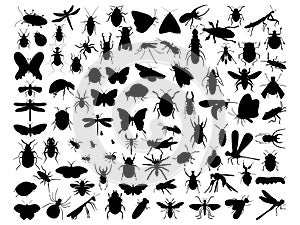 Set of Insects silhouette vector art on white background