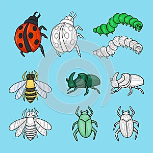 Set of insects. Vector cartoon cute illustration