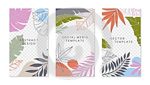 Set of insta story templates with tropical palm leaves