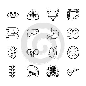 Set of internal organs icons