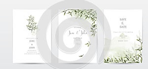 Set of invitation template cards with botanical and watercolor stains