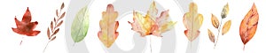 Set of isolated autumn leaves  illustration in aquarelle colors