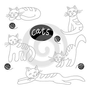 Set of isolated black and white cats in different poses. Favorite pets. Freehand drawing