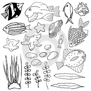 Set of isolated black and white fish, seaweed, seashell and stones on white background