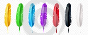 Set of isolated colored bird quill or feather