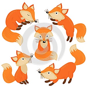 Set of isolated cute foxes part 1