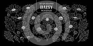 Set of isolated daisy in 24 styles.