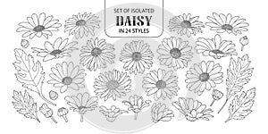 Set of isolated daisy in 24 styles.