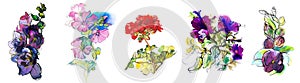 A set of isolated elements drawn in watercolor: bright summer flowers, herbs, twigs, spikelets. Provencal style, Abstract ink draw