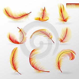 Set of isolated falling colored fluffy twirled feathers on transparent background in realistic style. Light cute