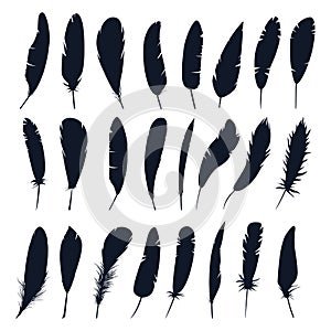 Set of isolated feather silhouette of bird.Plumage