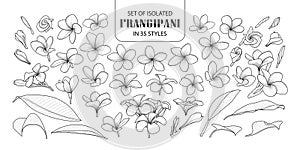 Set of isolated frangipani in 35 styles.