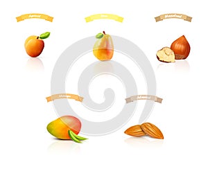 Set isolated fruit and nuts: apricot, pear, hazelnut, mango, almonds, peach. Realistic vector illustration.