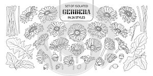 Set of isolated gerbera in 26 styles.