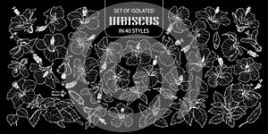 Set of isolated hibiscus in 40 styles. Cute hand drawn flower vector illustration only white outline.