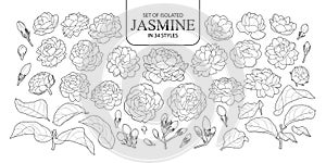 Set of isolated Jasmine in 34 styles photo