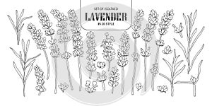 Set of isolated Lavender in 20 styles. Cute hand drawn flower vector illustration in black outline and white plane.