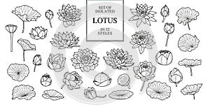 Set of isolated lotus in 32 style. Hand drawn style. Vector