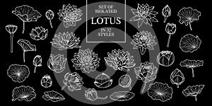 Set of isolated lotus in 32 styles. Cute hand drawn flower vector illustration only white outline.
