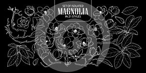 Set of isolated magnolia in 21 styles. Cute hand drawn flower vector illustration only white outline.