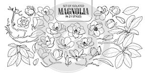 Set of isolated magnolia in 21 styles. Cute hand drawn flower vector illustration in black outline and white plane.