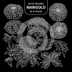 Set of isolated marigold in 6 styles. Cute hand drawn flower vector illustration only white outline.