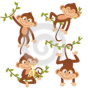 Set of isolated monkey hanging on vine