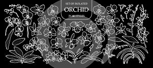 Set of isolated orchid in 40 styles. Cute hand drawn flower vector illustration only white outline.