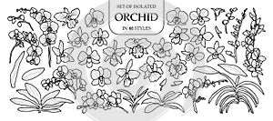Set of isolated orchid in 40 styles. Cute hand drawn vector illustration in black outline and white plane.