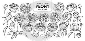 Set of isolated peony in 21 styles. Cute hand drawn flower vector illustration in black outline and white plane.