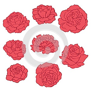 Set of Isolated red roses.