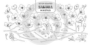 Set of isolated sakura in 38 styles.