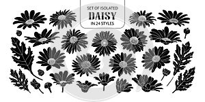 Set of isolated silhouette daisy in 24 styles.