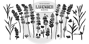 Set of isolated silhouette Lavender in 20 styles. Cute hand draw