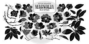 Set of isolated silhouette magnolia in 21 styles. Cute hand drawn flower vector illustration in white outline and black plane.