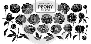 Set of isolated silhouette peony in 21 styles. Cute hand drawn flower vector illustration in white outline and black plane.