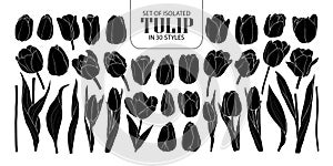 Set of isolated silhouette Tulip in 30 styles. Cute hand drawn f